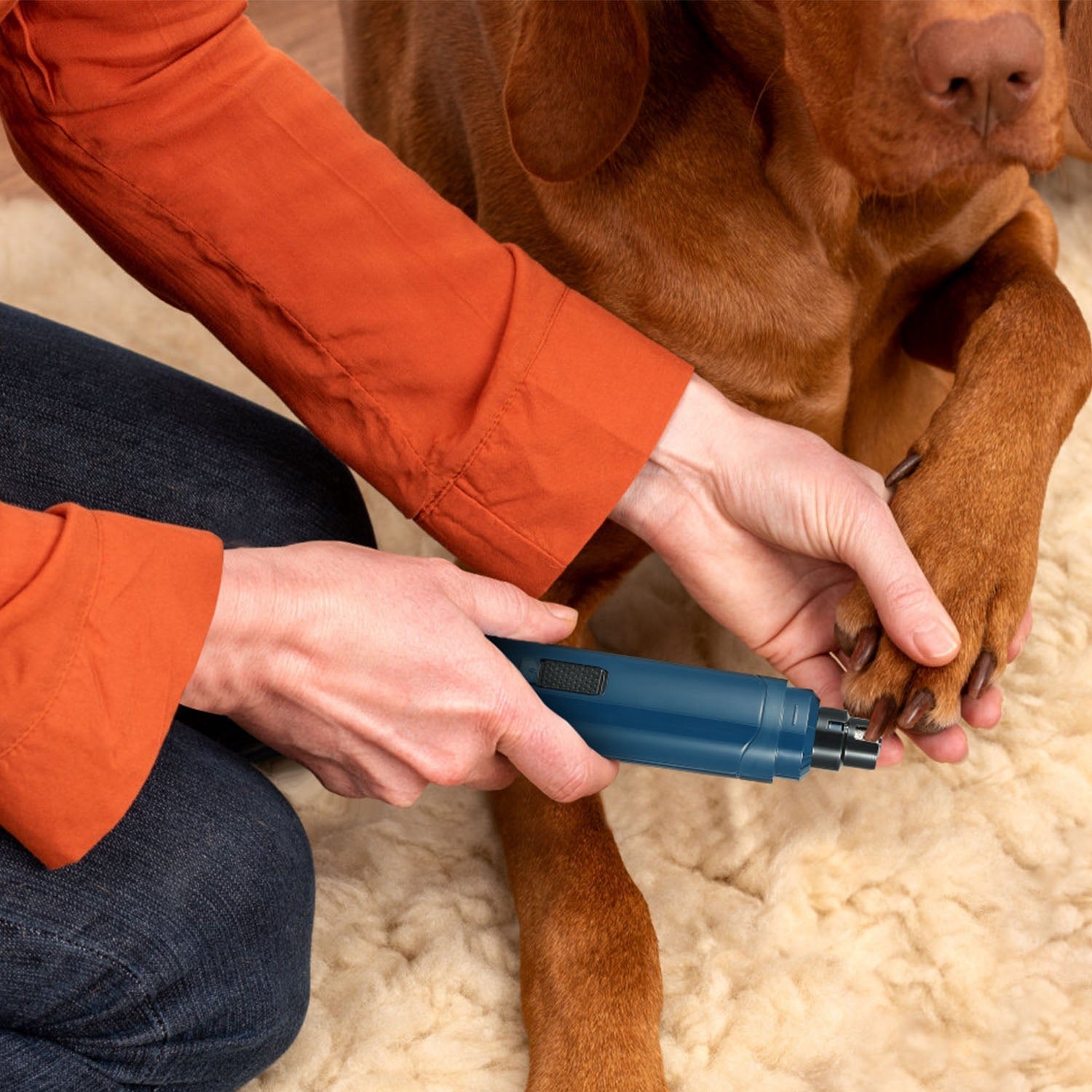Rechargeable Dog Nail Grinder for Small Medium Large Dogs & Cats