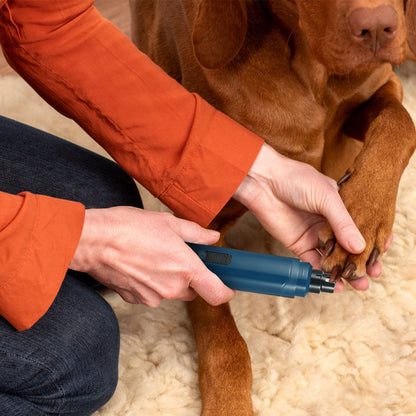 Rechargeable Dog Nail Grinder for Small Medium Large Dogs & Cats