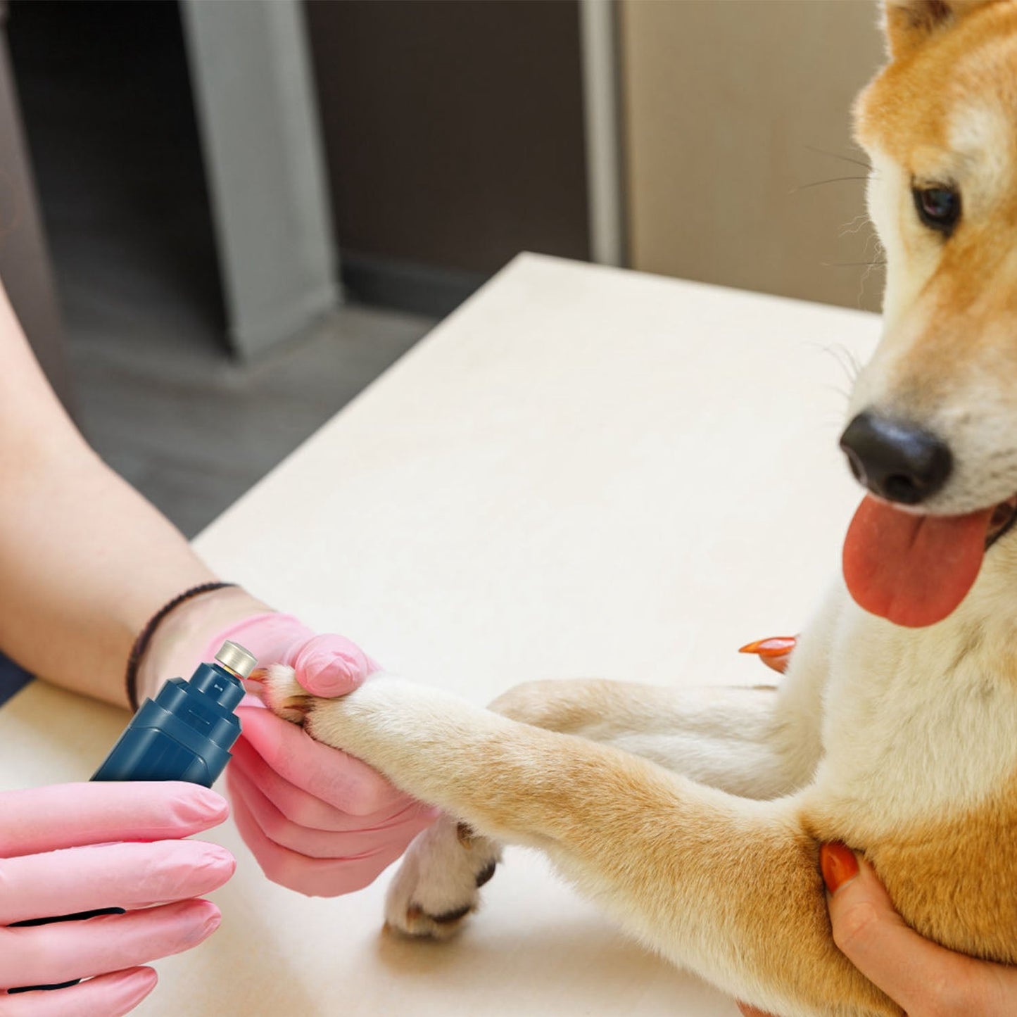 Rechargeable Dog Nail Grinder for Small Medium Large Dogs & Cats