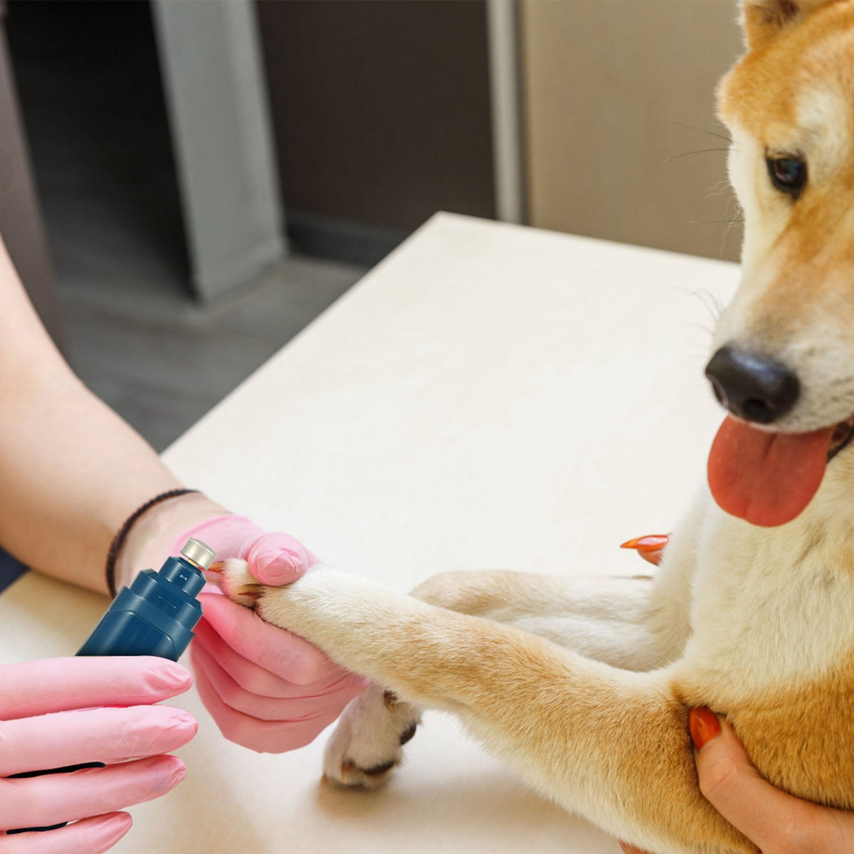 Rechargeable Dog Nail Grinder for Small Medium Large Dogs & Cats